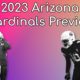 2023 Arizona Cardinals Team Preview: Bound For The First Pick